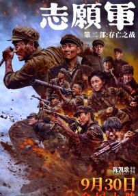 一个年轻的妻子